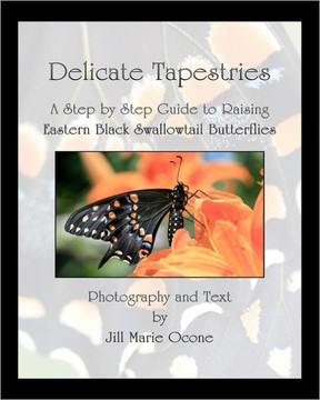 Delicate Tapestries: A Step by Step Guide to Raising Eastern Black Swallowtail Butterflies