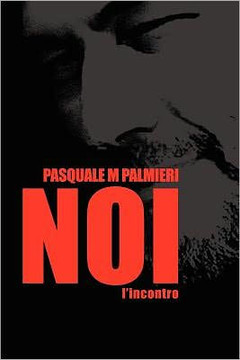 Noi: L'Incontro
