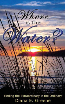 Where is the Water?: Finding the Extraordinary in the Ordinary