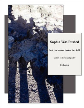 Sophia Was Pushed but the moon broke her fall: a short collection of poetry