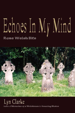 Echoes In My Mind: Rare Welshbits
