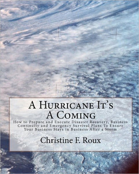 A Hurricane It's A Coming: How to Prepare and Execute Disaster Recovery, Business Continuity and Emergency Survival Plans To Ensure Your Business