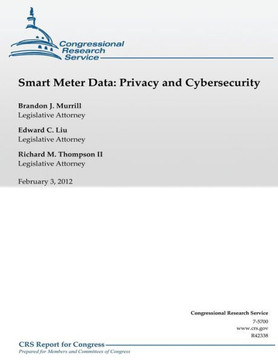 Smart Meter Data: Privacy and Cybersecurity