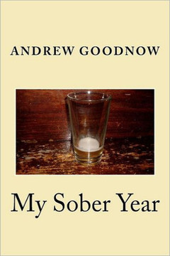 My Sober Year