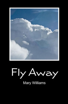 Fly Away - 9781451502503