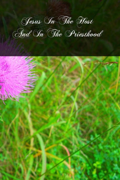 Jesus In The Host And In The Priesthood