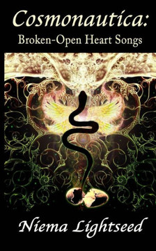Cosmonautica: Broken-Open Heart Songs