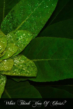 What Think You Of Christ?: Is The Christ Of The Catholic Church The Christ Of The Gospels?