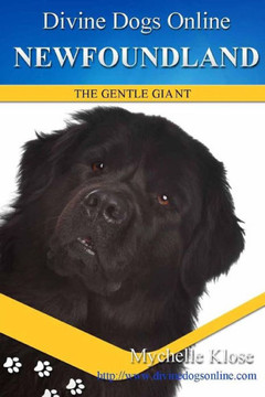 Newfoundland's: Divine Dogs Online