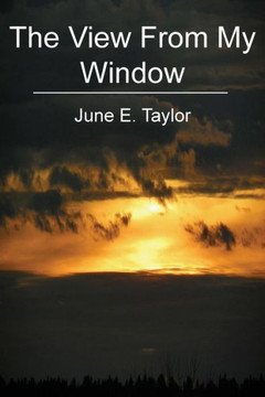 The View From My Window: Carcinoid Cancer and Me