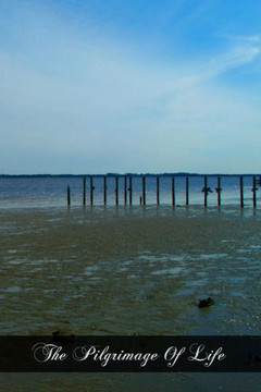 The Pilgrimage Of Life: Helps For The Christian Wayfarer