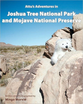 Attu's Adventures in Joshua Tree National Park and Mojave National Preserve