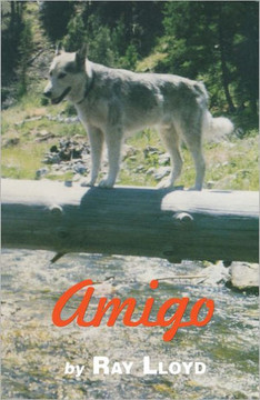 Amigo