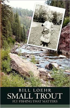 Small Trout: Fly Fishing That Matters