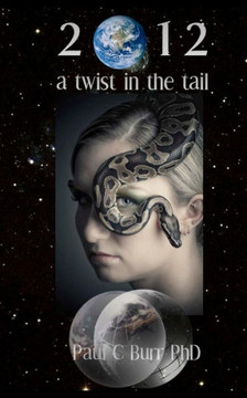 2012: a twist in the tail: More than a novel with spiritual insights into love, relationships and the global change that 201