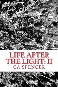Life After The Light: II