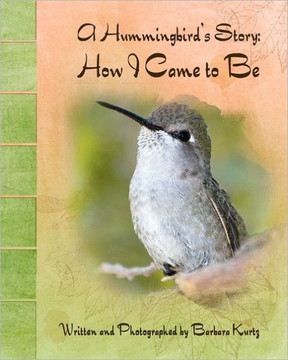 A Hummingbird's Story: How I Came to Be