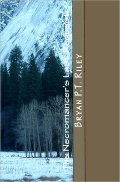 The Necromancer's Last Request