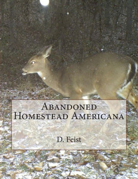 Abandoned Homestead Americana