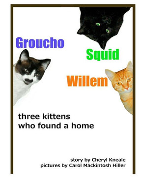 Groucho * Squid * Willem: three kittens who found a home