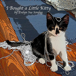 I Bought a Little Kitty