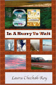 In A Hurry To Wait - 9781469934600