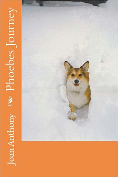 Phoebes Journey