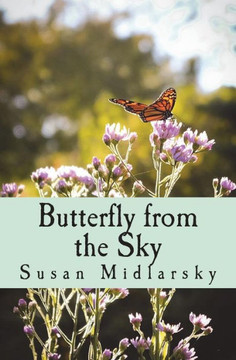 Butterfly from the Sky Butterfly from the Sky