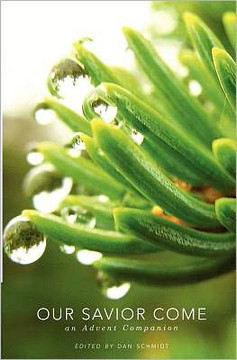 Our Savior Come: An Advent Companion