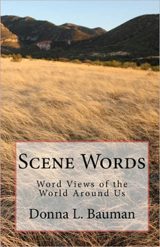 Scene Words: Word Views of the World Around Us