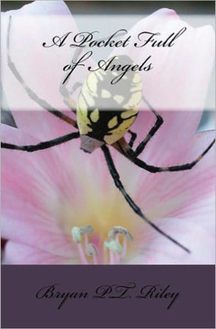 A Pocket Full Of Angels