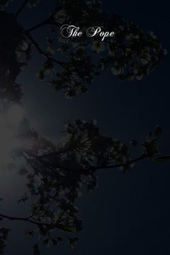 The Pope: The Vicar Of Christ The Head Of The Church