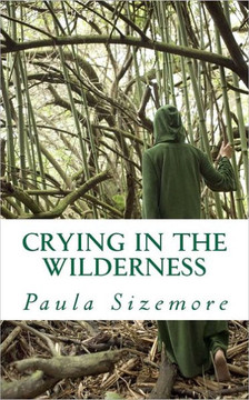 Crying in the Wilderness: A poetical exploration
