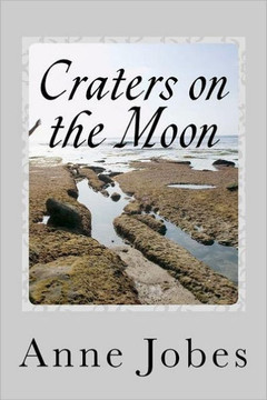 Craters on the Moon
