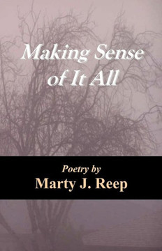 Making Sense of It All