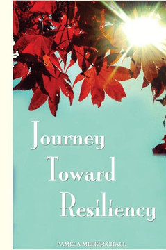 Journey Toward Resiliency