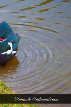 Manuale Ordinandorum: The Ordination Rite According To The Roman Pontifical