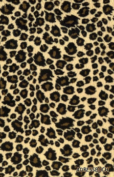 Adressbuch - 9781480273832