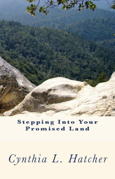 Stepping Into Your Promised Land