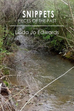 Snippets: Pieces of the Past