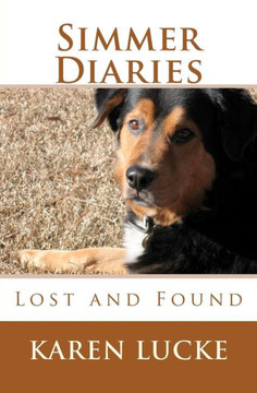 Simmer Diaries: Lost and Found