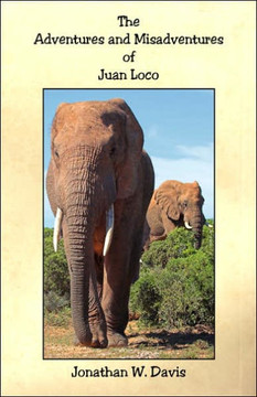 The Adventures and Misadventures of Juan Loco