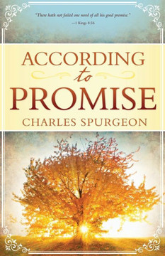 According to Promise According to Promise