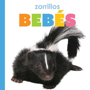 Zorrillos Beb?s Zorrillos Beb?s