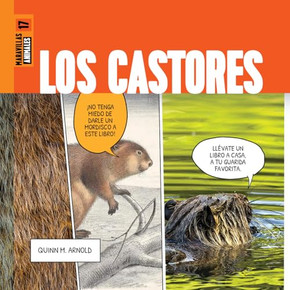 Los Castores Los Castores