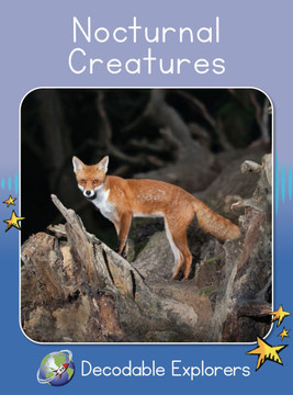 Nocturnal Creatures: Skills Set 8