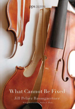 What Cannot Be Fixed