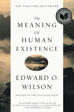 The Meaning Of Human Existence