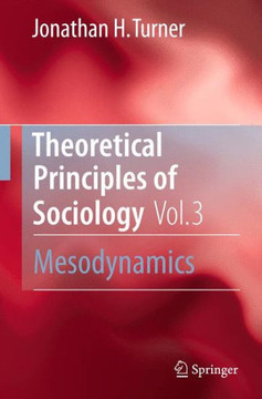 Theoretical Principles of Sociology, Volume 3: Mesodynamics