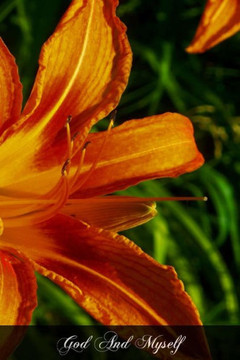 God And Myself: An Inquiry Into The True Religion